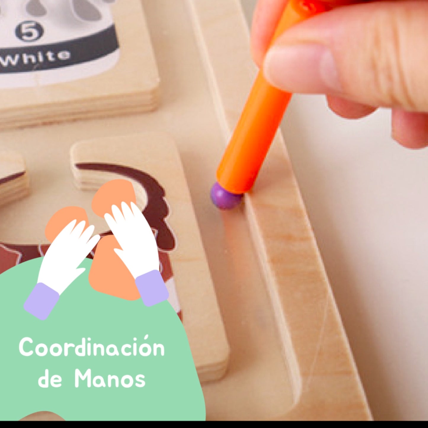 
                  
                    Laberinto Magnético de colores
                  
                